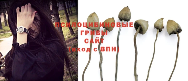 прущий лед Балахна