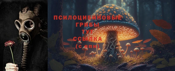 прущий лед Балахна