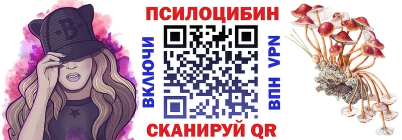 omg зеркало  Гуково  Псилоцибиновые грибы Psilocybe 